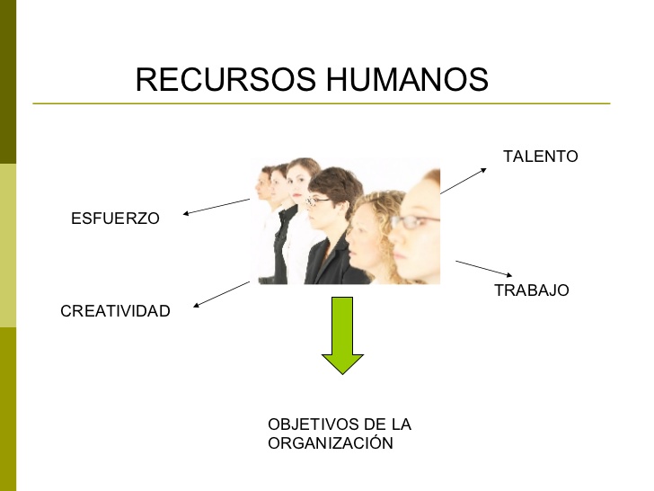 recursos humanos pdf